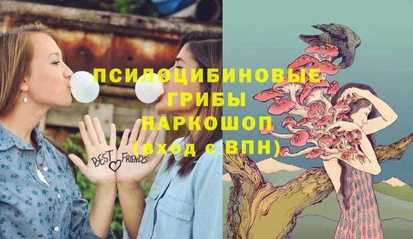 jwh Арсеньев