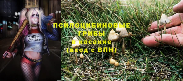 jwh Арсеньев