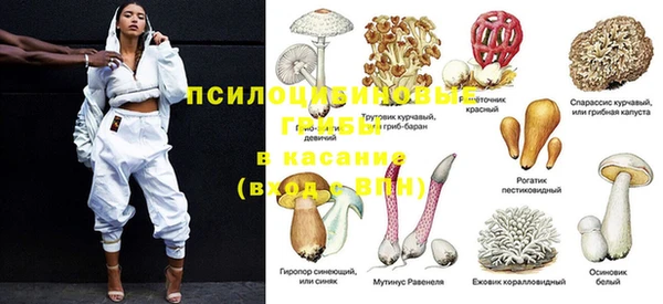 метадон Аркадак