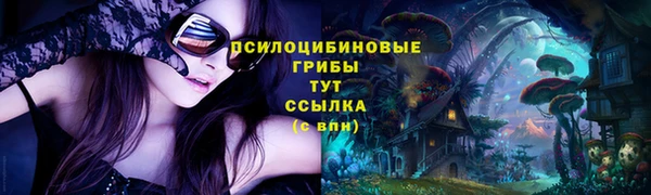 метадон Аркадак