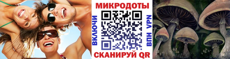 Галлюциногенные грибы Cubensis  Бабушкин 